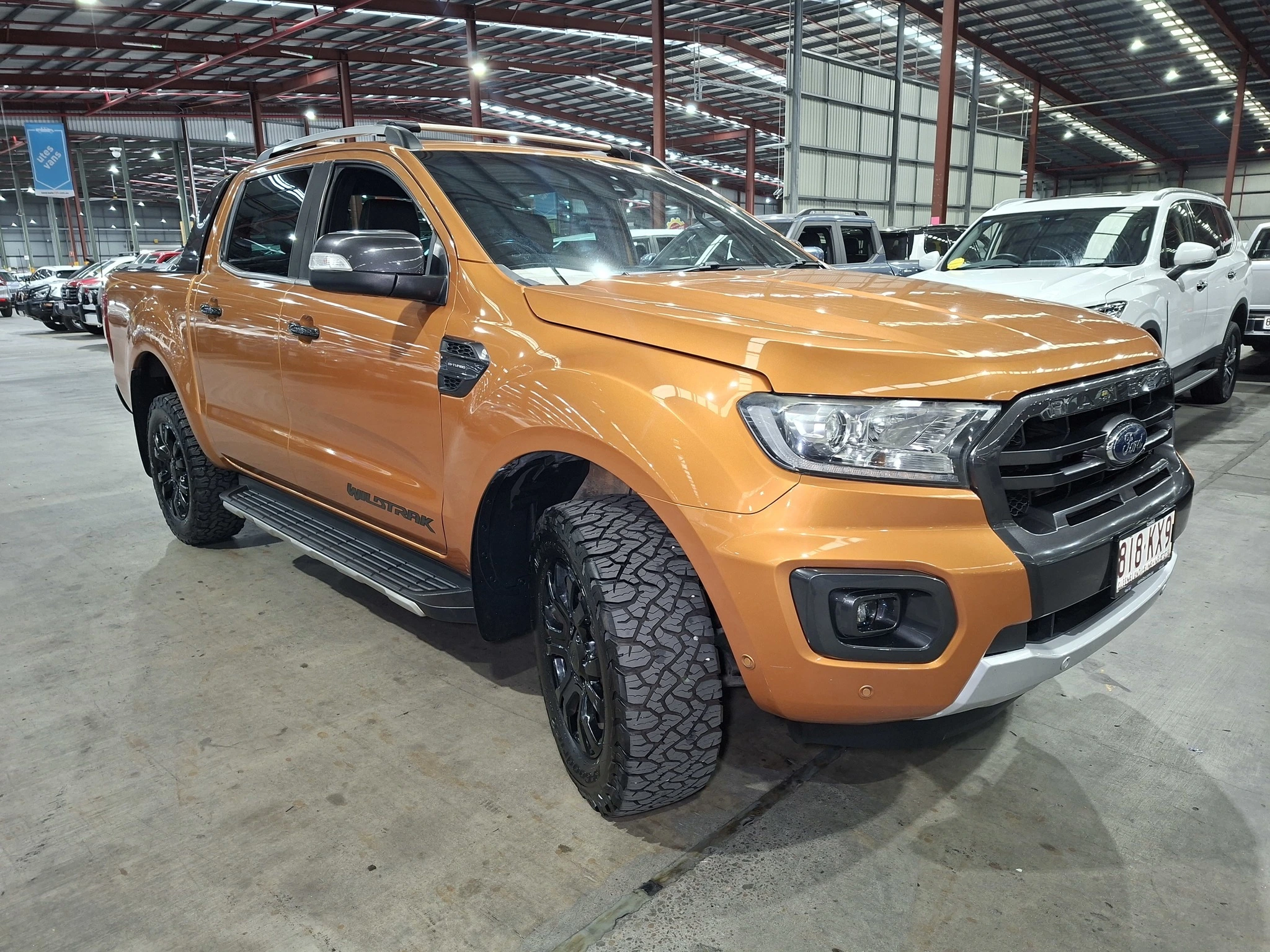 Ute