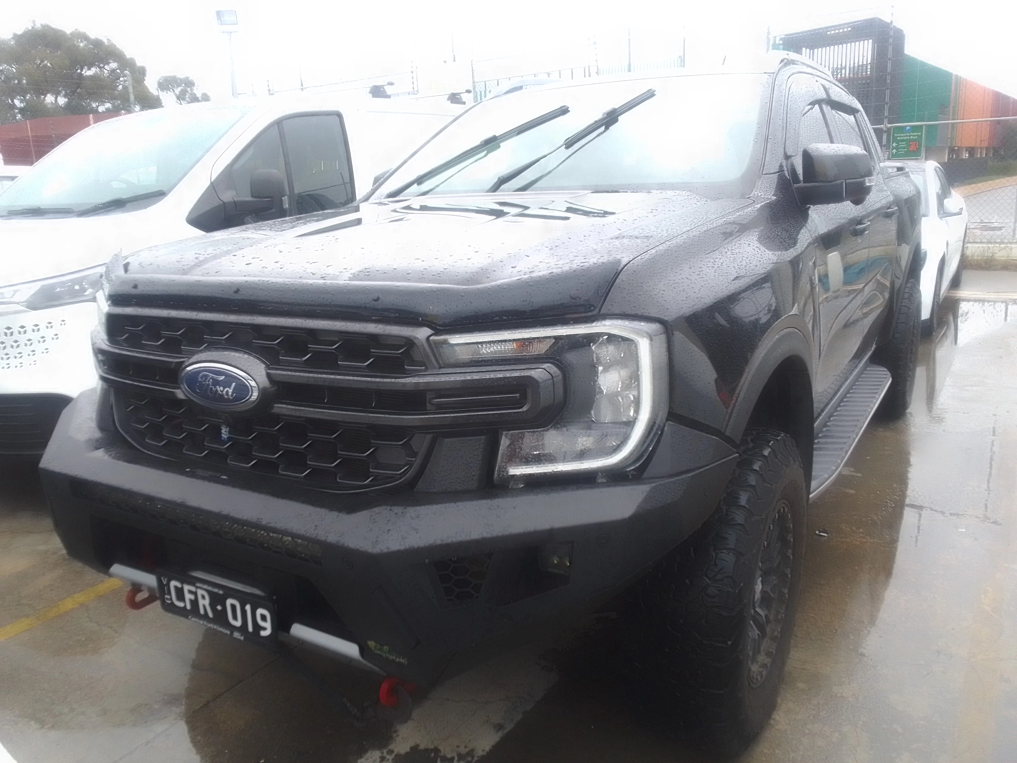 Ute